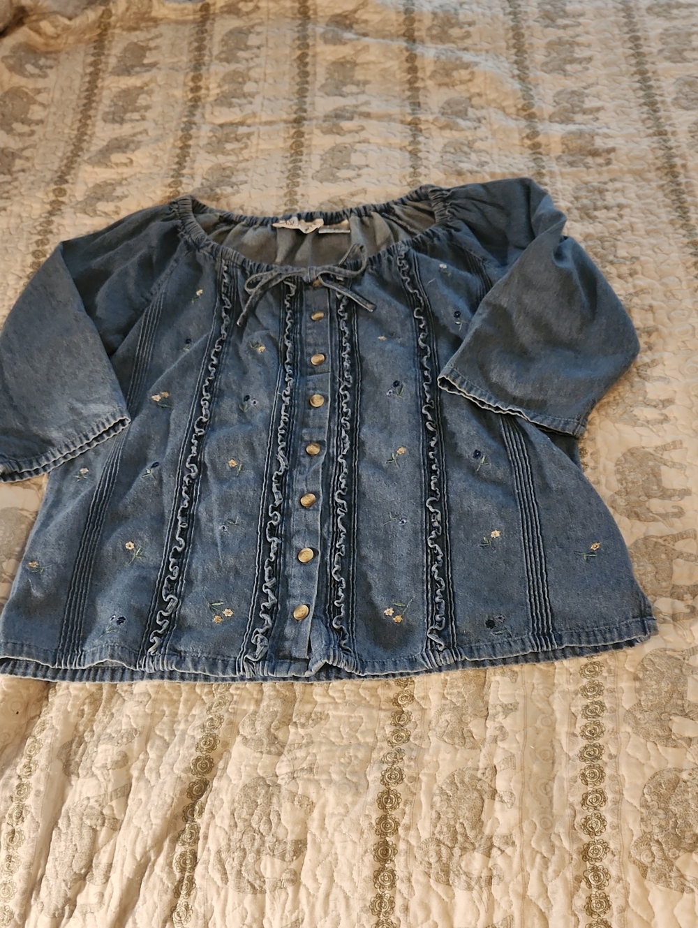 Casey & Max Blue Denim Embroidered Button-Front Top